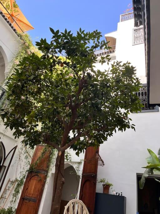 Riad Dar Fannan En Exclusivite Marrakesh Eksteriør bilde